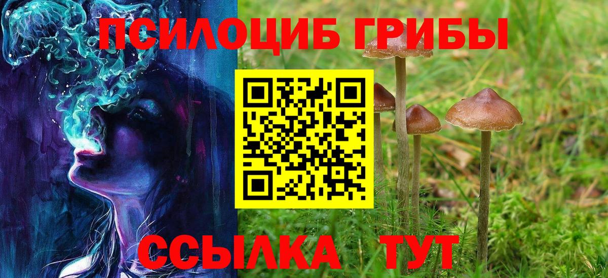 Галлюциногенные грибы MAGIC MUSHROOMS Альметьевск