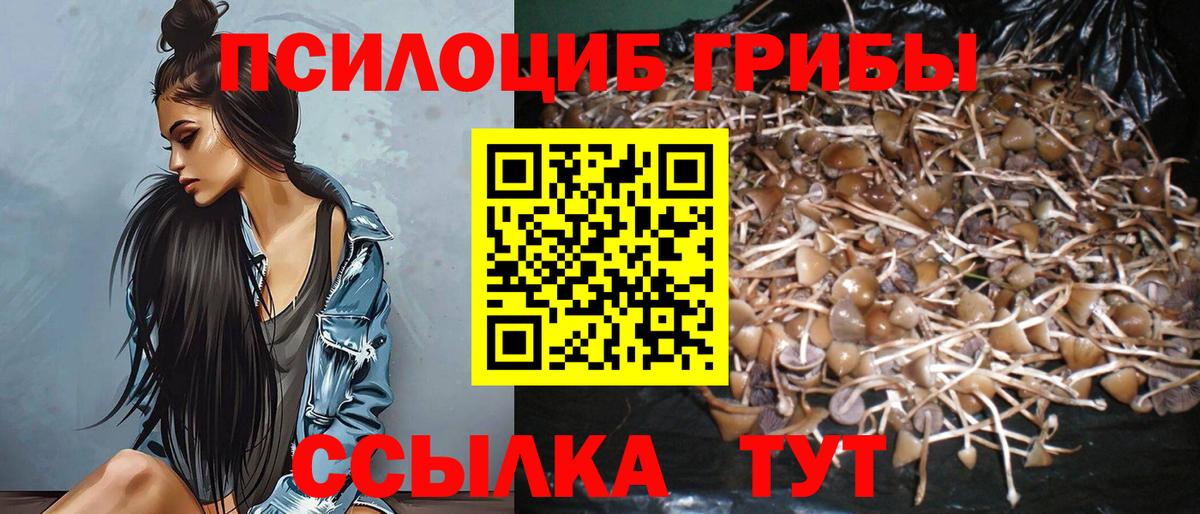 Псилоцибиновые грибы ЛСД  Вход с VPN  Альметьевск 